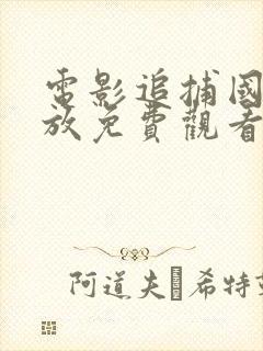 电影追捕国语播放免费观看封面