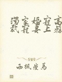 独家婚宠高冷总裁宠妻上瘾