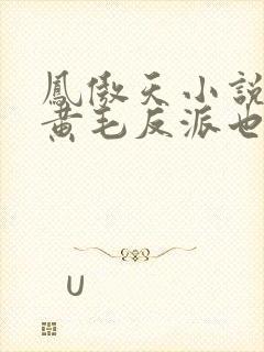 凤傲天小说里的黄毛反派也想幸福》封面