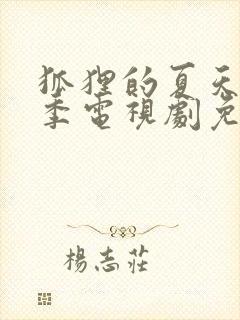 狐狸的夏天第一季电视剧免费全集