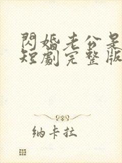 闪婚老公是总裁短剧完整版免费看