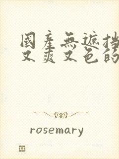 国产无遮挡又黄又爽又色的免费视频