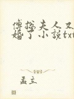 傅总夫人又闹离婚了小说txt