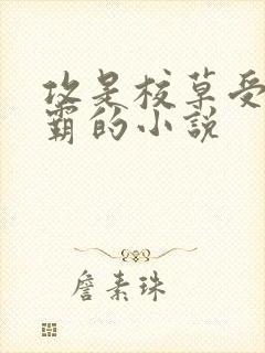 攻是校草受是校霸的小说