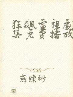 狂飙电视剧40集免费播放在线