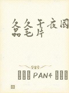 久久午夜国产精品毛片