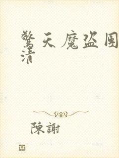 惊天魔盗团1高清封面