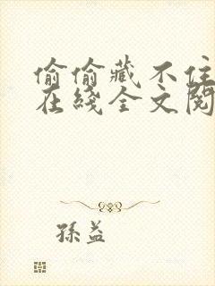 偷偷藏不住小说在线全文阅读