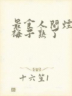 最食人间烟火色梅子熟了封面