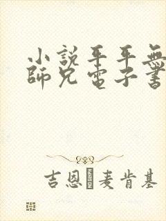 小说平平无奇大师兄电子书下载