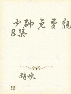 少帅免费观看48集