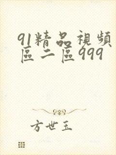 91精品视频一区二区999