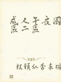 成人午夜国产一区二区封面