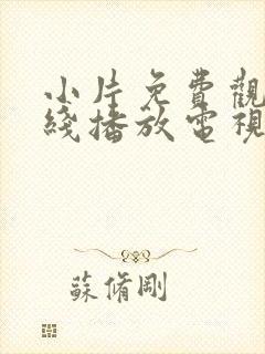 小片免费观看在线播放电视剧封面