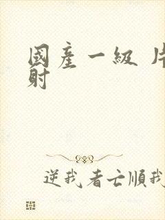 国产一级 片内射