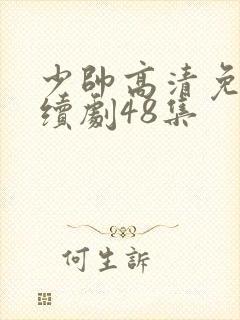 少帅高清免费连续剧48集