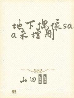 地下偶像sana未增删