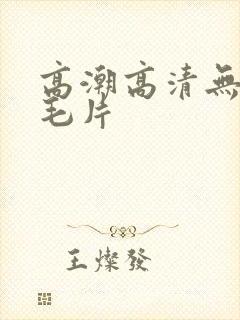 高潮高清无遮挡毛片