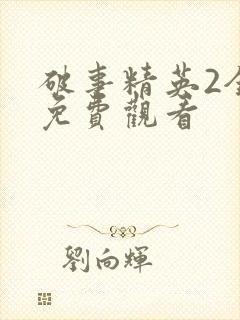 破事精英2全集免费观看封面