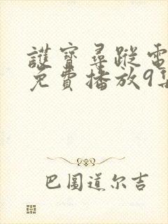 护宝寻踪电视剧免费播放9集