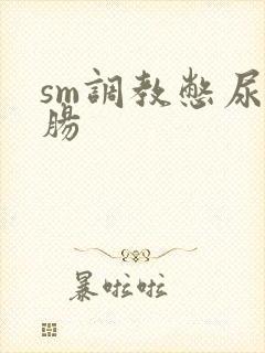 sm调教憋尿灌肠