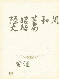 陆昭菱和周时阅大结局封面