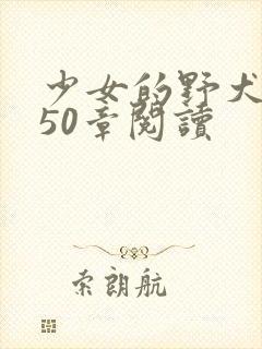 少女的野犬小说50章阅读