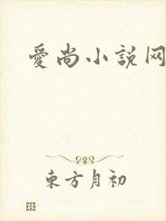爱尚小说网