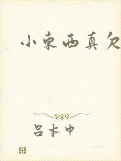 小东西真欠弄