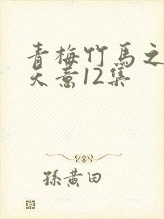 青梅竹马之爱有天意12集