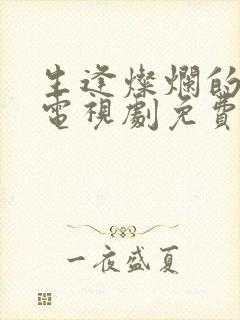 生逢灿烂的日子电视剧免费在线观看