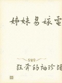 姊妹易嫁电影封面