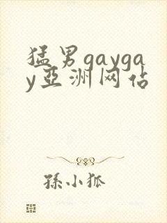 猛男gaygay亚洲网站