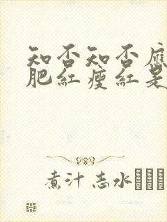 知否知否应是绿肥红瘦红是什么花