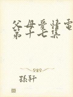 父母爱情电视剧第十七集