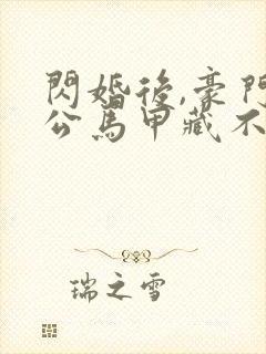 闪婚后,豪门老公马甲藏不住了