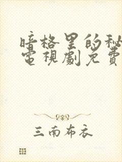 暗格里的秘密 电视剧免费