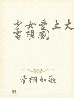 少女爱上大叔的电视剧