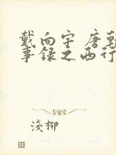 戴向宇 唐朝诡事录之西行