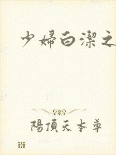 少妇白洁之封面