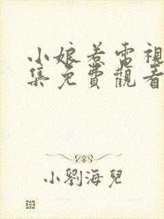 小娘惹电视剧全集免费观看