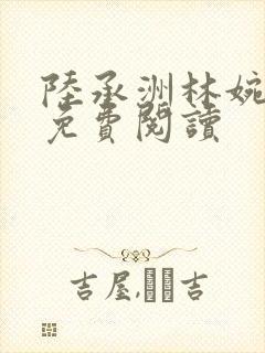 陆承洲林婉全文免费阅读