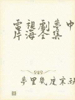 电视剧梦中的那片海全集