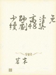 少帅高清免费连续剧48集