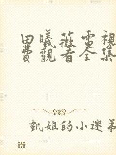 田曦薇电视剧免费观看全集在线播放