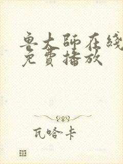 鲁大师在线播放免费播放