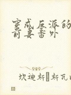 穿成反派的炮灰前妻番外封面