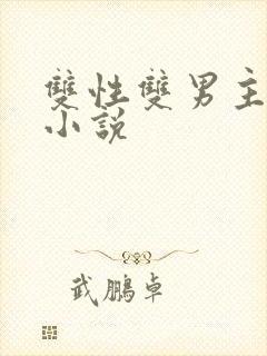 双性双男主生子小说