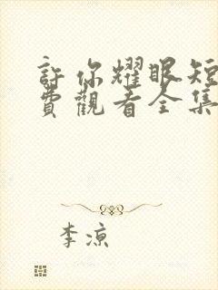 许你耀眼短剧免费观看全集