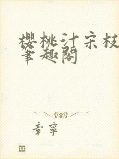 樱桃汁宋枝江野笔趣阁封面